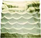 Immagine 39.jpg (24kb)